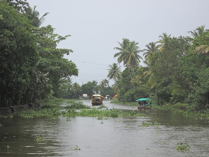 Alappuzha or Allepy backwaters